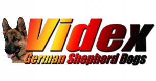 Videx