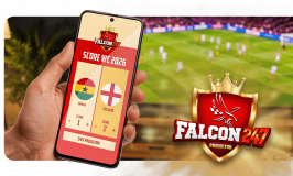 Falcon Taxis logo