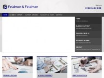 Feldman & Feldman