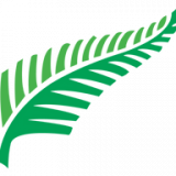 Ferns Solicitors logo