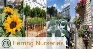 Ferring Nurseries