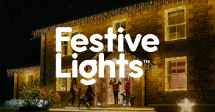 Festive Lights