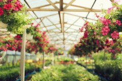 Finchley Nurseries Limited