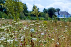 Fineview Landscapes Limited