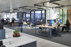 Workscape Limited