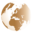 Foodservice Consultants Society International
