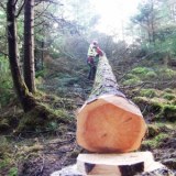Forestry Contracting Association