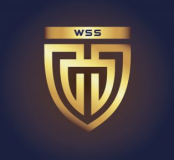 Worldwide Securities Services Limited