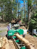 From The Wood