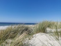 Funeral Planning Services