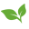G L Sharpe logo
