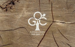 G Ocallaghan logo