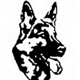 G S D Property Protection Services logo