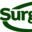 G T S (UK) Surgical Instruments