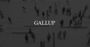 Gallup Organisation Limited