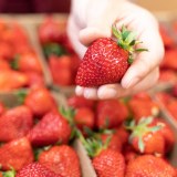 Wye Fruit Limited