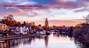 Gascoige Halman