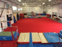 Wyre Forest Gymnastic School logo
