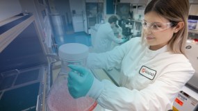 Gilead Sciences Limited