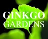 Ginkgo Logo