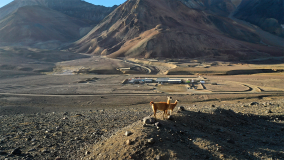 Glencore UK Limited