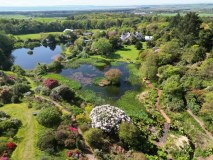 Glenwhan Gardens Nursery