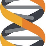 Goldladder