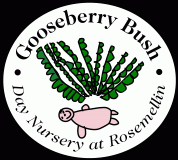 Gooseberry Bush Childrens Nursery