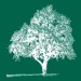 Grange Farm Country Cottages logo