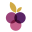 Grape Passions