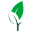 Green Undertakings (UK) Limited