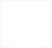 Yellow Shark