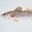 Hallcroft Coarse Fisheries