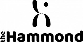Hammond School logo