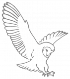 Hann Tucker Associates logo
