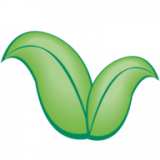 Yorkshire Village Mushrooms Limited logo