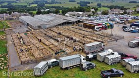 Hawes Farmers Auction Mart Co. Limited logo