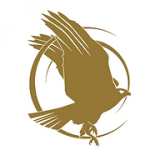 Hawk Associates Limited