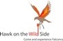 Hawk On The Wild Side