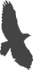 Hawksmoor Property Services logo