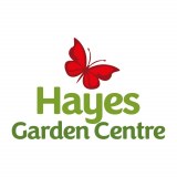 Hayes Coffee Lounge logo