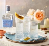 Hayman Limited