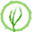 Health Interlink Limited