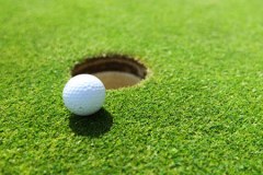 Henley Golf & Country Club logo