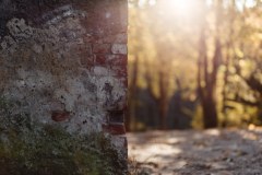 Heritage Preservation (Remedials) Limited