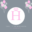 Highflying Balloons Party Shop