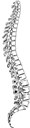 Highworth Physiotherapy Clinic