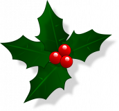 Holly Tree Surgeons Limited