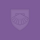 Holmesdale Technology College logo