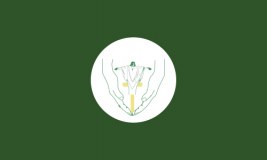 Holy Cross R C Primary School logo